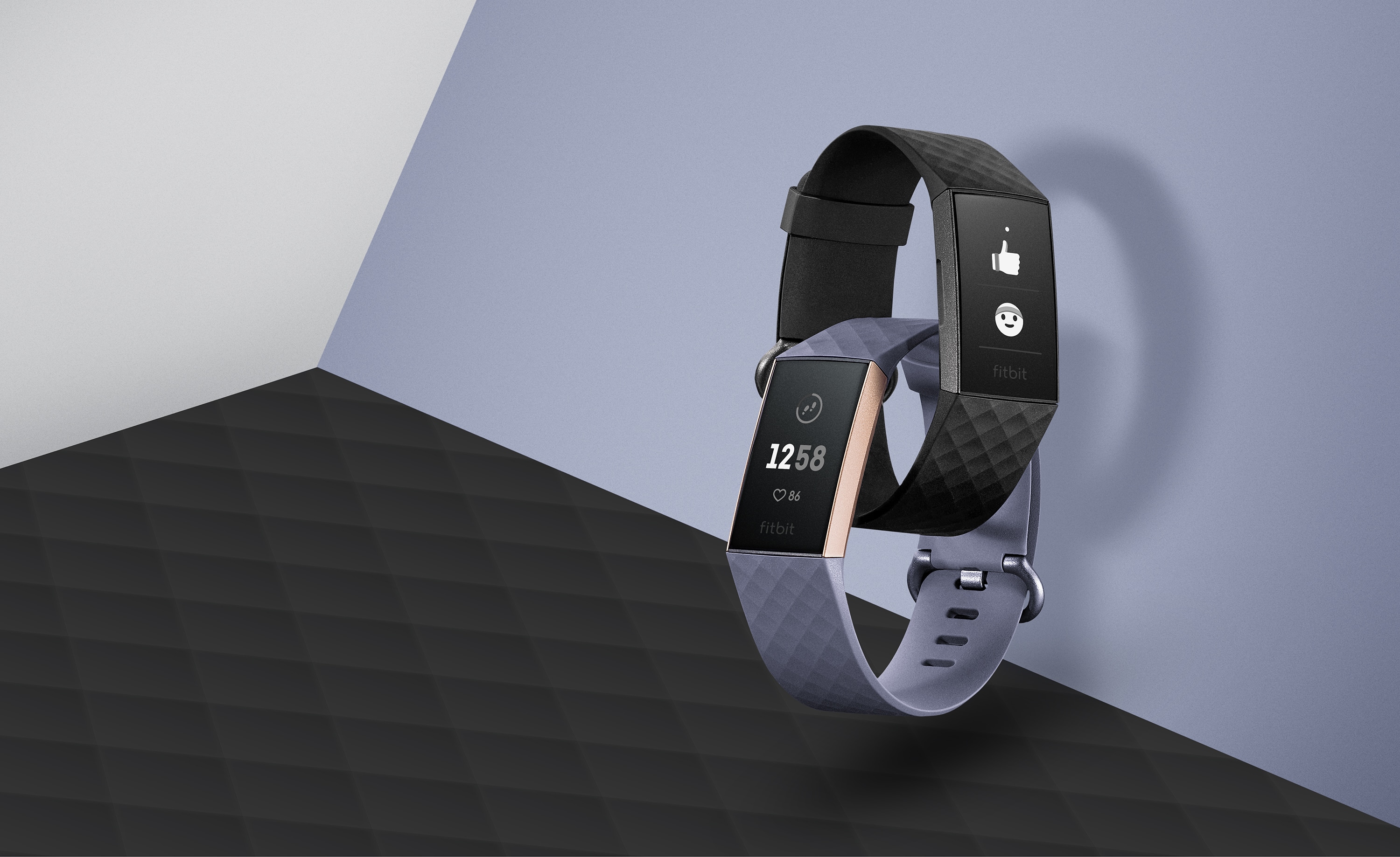 Fitbit developer discount charge 3