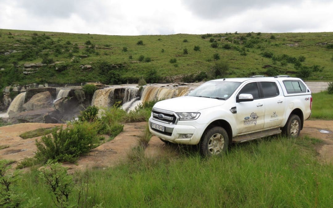 Ford, Ford Motor Company of Southern Africa, Birdlife, World Wetlands Day, smetechguru