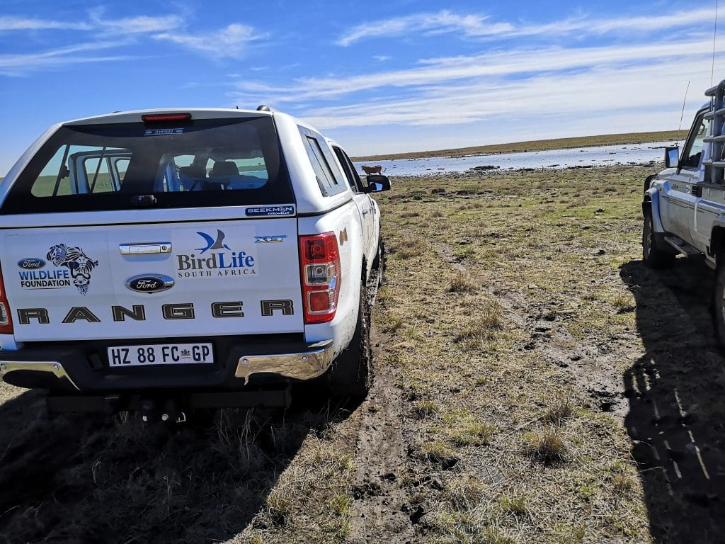 Ford, Ford Motor Company of Southern Africa, Birdlife, World Wetlands Day, smetechguru