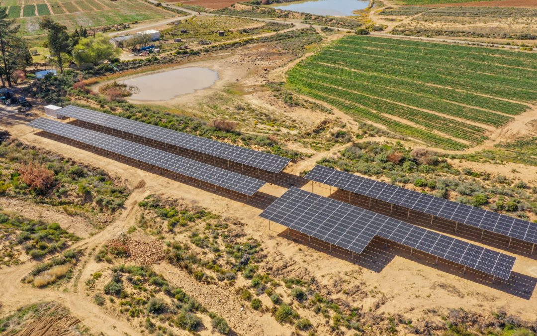 Cars.co.za buys into the Sun Exchange Karoo Fresh off-grid solar project to boost sustainability