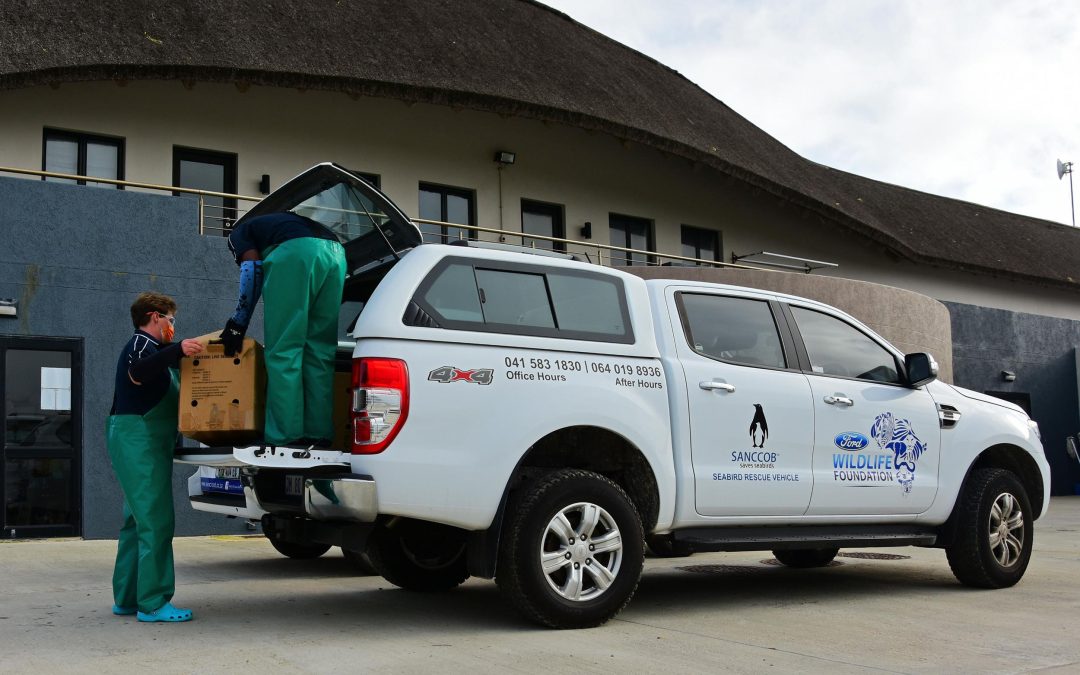 Ford Wildlife Foundation Continues Support for SANCCOB