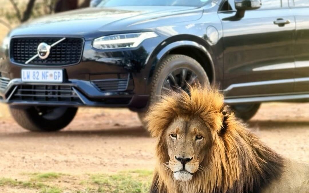 Volvo Car South Africa